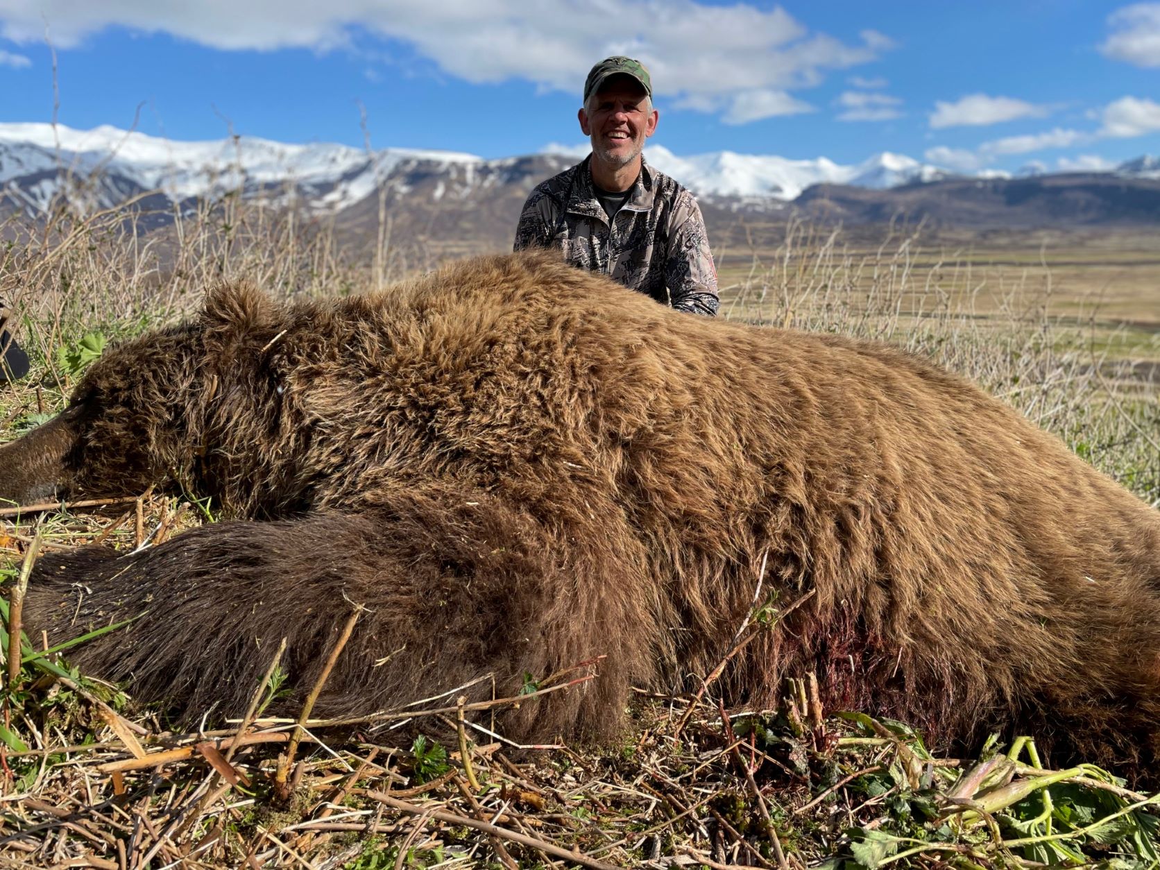 Brown Bear Hunts